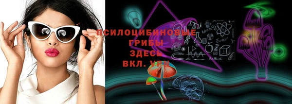 бошки Алзамай