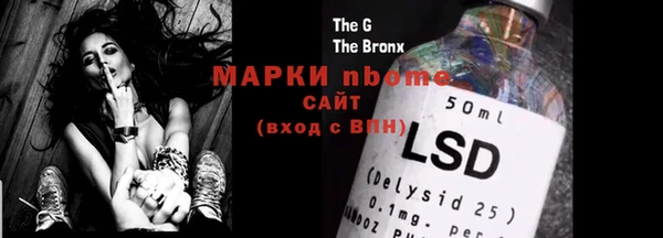 индика Алексин