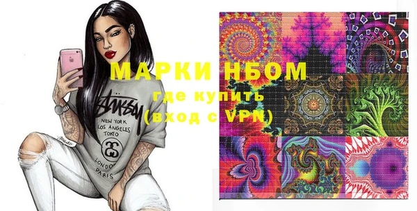 индика Алексин