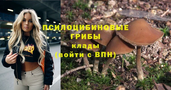 индика Алексин