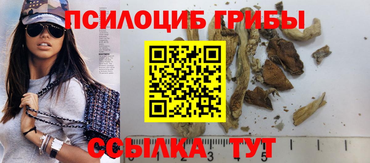 Галлюциногенные грибы Cubensis Кольчугино